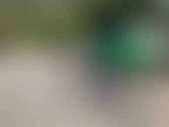 Taiwan drone delivers antivenom across Alishan's high-altitude terrain
