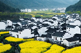原文配图