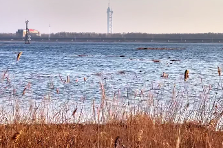 原文配图