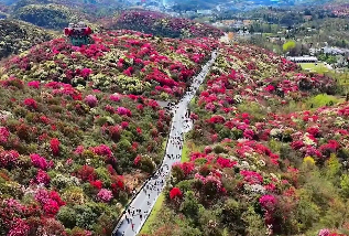 原文配图