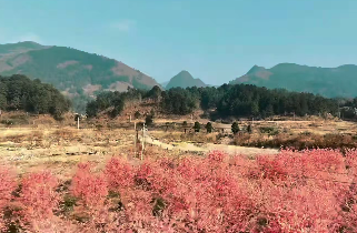 原文配图