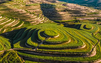 原文配图