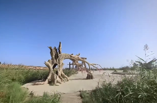 原文配图