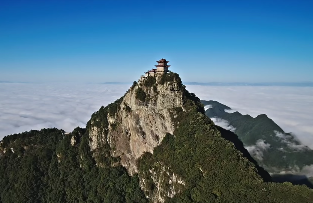 原文配图