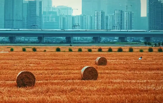 原文配图