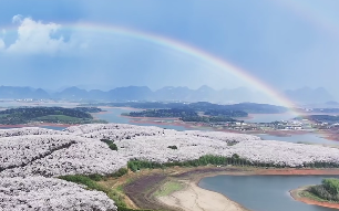 原文配图