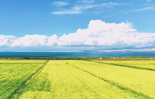 原文配图
