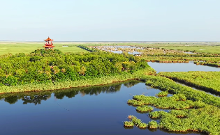 原文配图