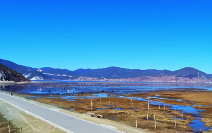 原文配图