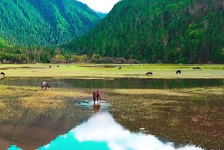 原文配图